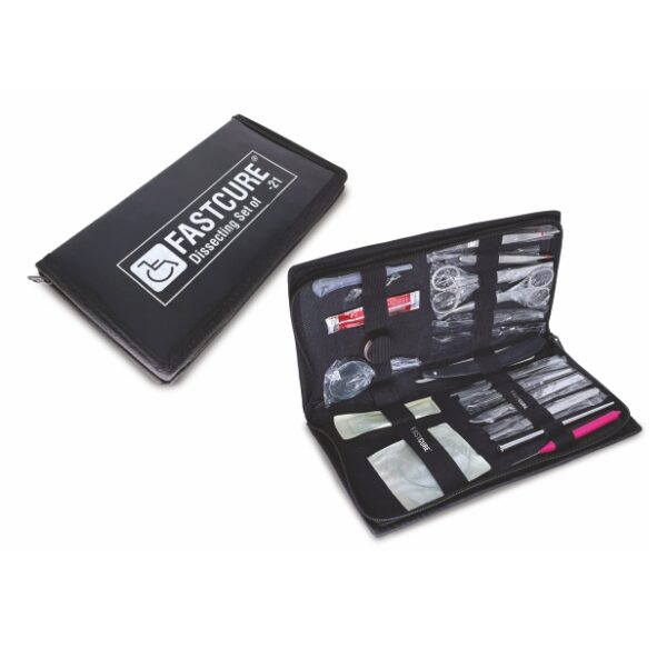 Dissecting Set of -21